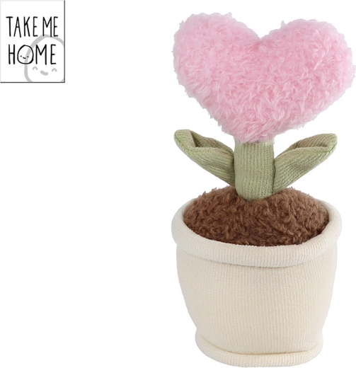 Lyserød plysbamse-plante i hjerteform Take Me Home
