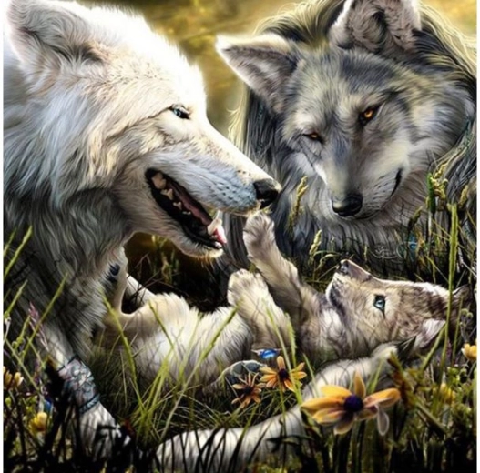 Diamantmozaik (diamond painting) ulvefamilie 30 × 30 cm