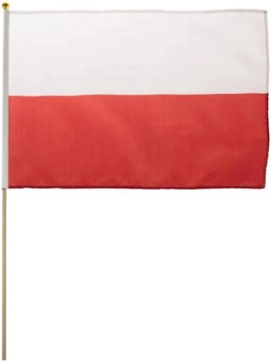 Lille nationalflag