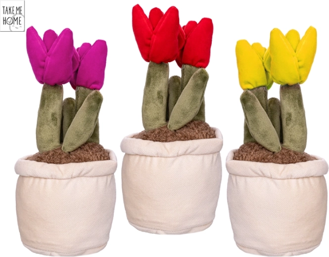 Take Me Home plys-tulipan 25 cm