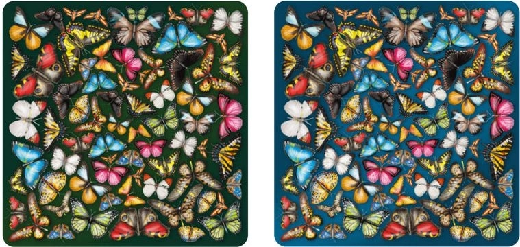 Dobbeltsidet træpuslespil Curiosi Double: sommerfugle 165 brikker