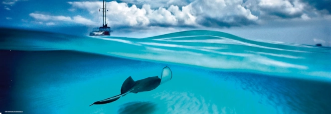 Panoramapuslespil Rokke - Caymanøerne 1000 brikker