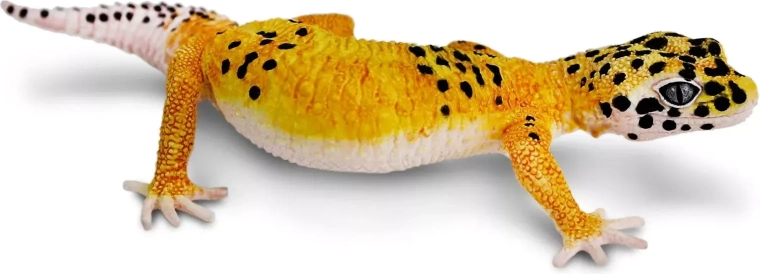 Safari Ltd. figur – leopardgecko (nataktiv)