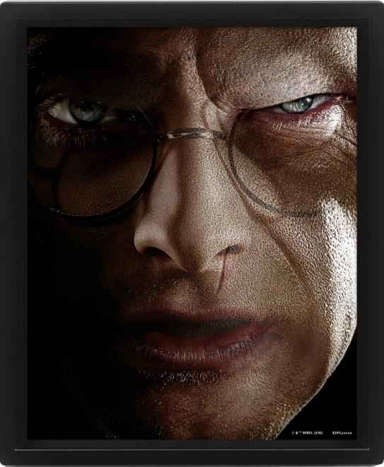3D-billede Harry Potter - Duellen med Voldemort