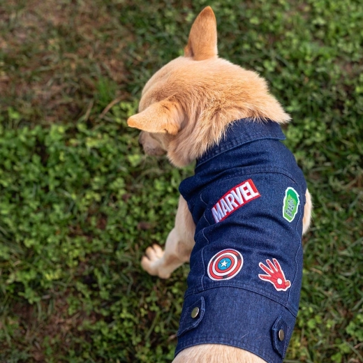 Cerda denim-tøj til hund Marvel, størrelse S - 1 stk.