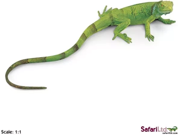 Safari Ltd. unge af grøn leguan - 1 stk.