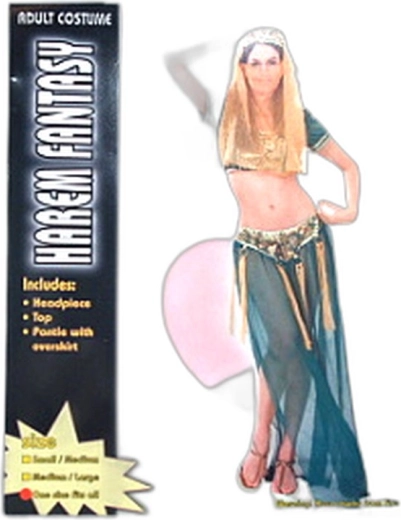 Kostume til voksne harem-danserinde - 1 stk.