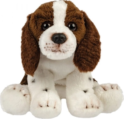 Plys-hund (spaniel)
