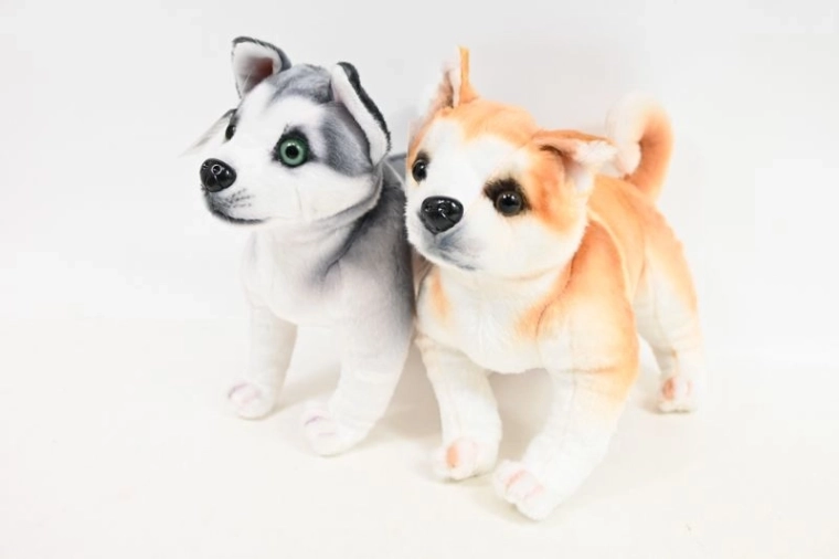 Plysbamse – hund