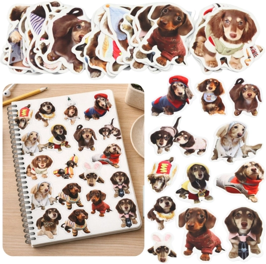 Sæt med 50 papirklistermærker med spaniels