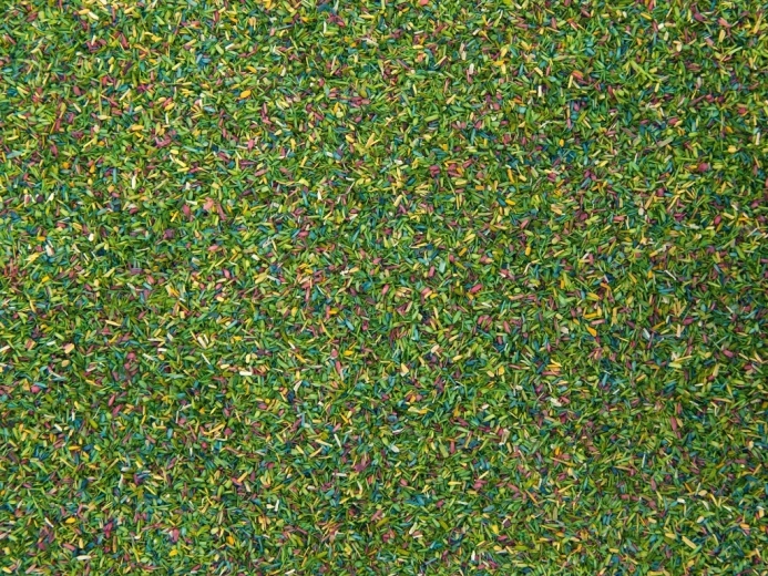 Noch statisk græs Blomstrende eng 150 g