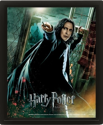 3D-billede Harry Potter Snape