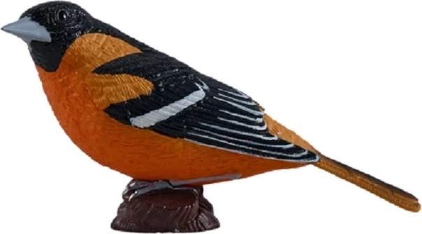Mojo pirol