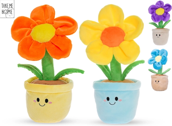 Plysblomst i blomsterpotte Take Me Home 30 cm