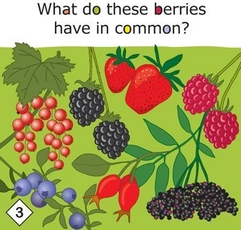 Yummy! lærerig spil om sund kost for børn fra 3 år