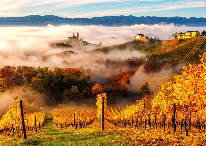 Enjoy puslespil I vinmarken 1000 brikker