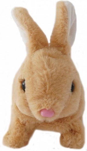 Beige kaninunge på batterier