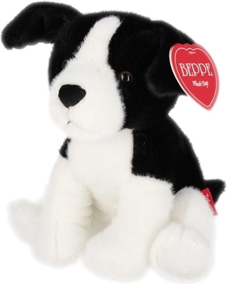 Hund, border collie, 25 cm