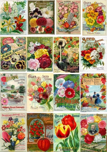 Enjoy-puslespil vintage blomsterfrøpakker 1000 brikker