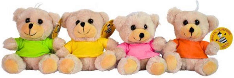 Månedlig bamse i T-shirt
