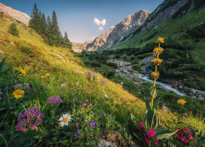 Puslespil Magiske Skråning 1000 brikker