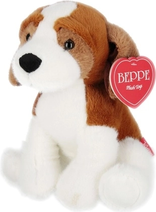 Bamsehund Beagle 25 cm