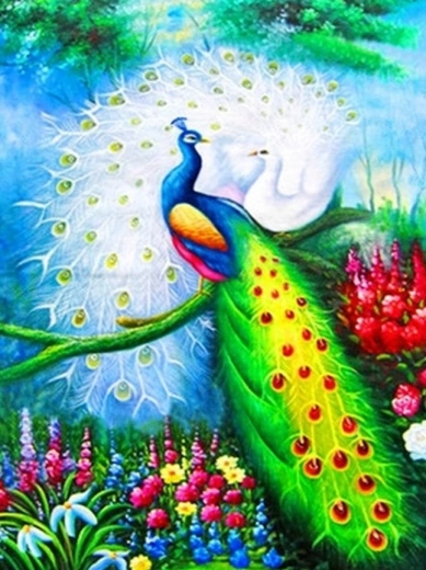 Diamantmaling – påfugle 30 × 40 cm