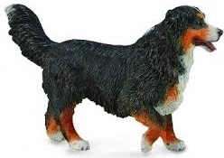 COLLECTA Berner sennenhund