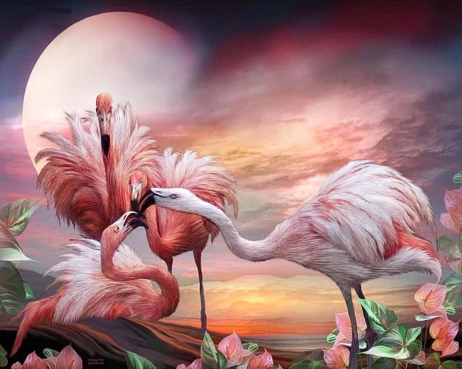 Norimpex Mal efter tal Flamingoer 40 × 50 cm