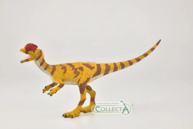 Collecta Dilophosaurus figur