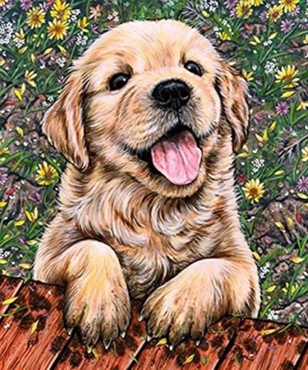 Diamantmaling labradorhvalp 30 × 40 cm