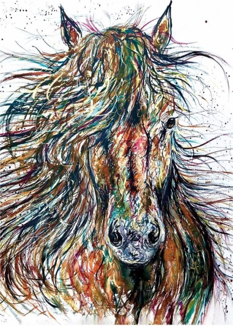 Puslespil ANATOLIAN Vind 500 brikker