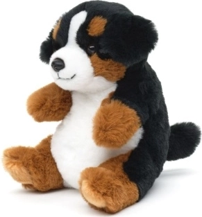 Plysbjørn sennenhund 17 cm, miljøvenlig