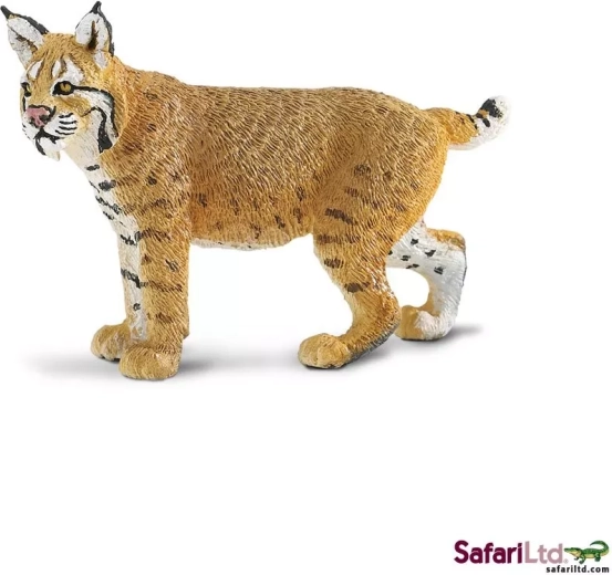 Safari Ltd. los