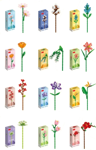 Florist farverige sommer- og markblomster (12 typer)