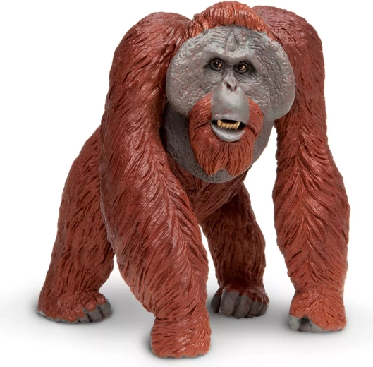 Figur af borneo-orangutang Safari Ltd.