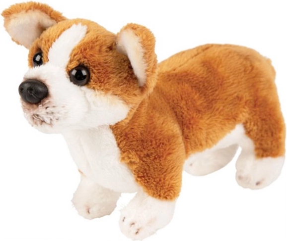 Plys-hund Corgi
