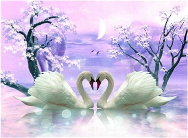 Diamantmaleri svanekærlighed 30 × 40 cm