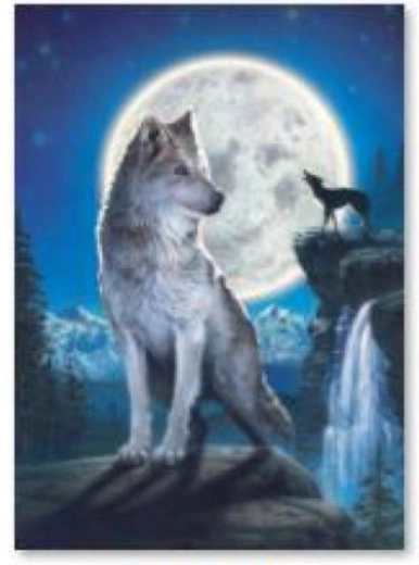 Diamantbroderi (diamond painting) ulv 30 × 40 cm