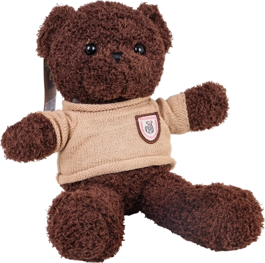 Brun plysbamse i sweater