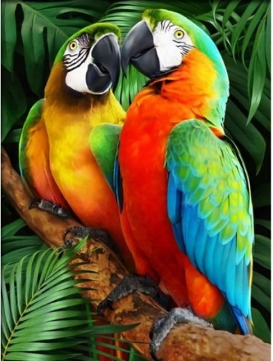 Diamantmosaik (diamond painting) farverige araer 30 × 40 cm