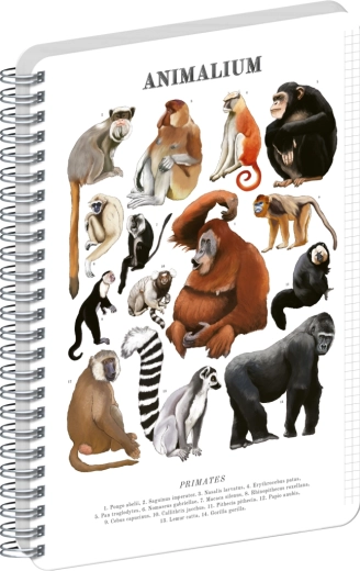 Notique spiralblok Animalium – primater, ternet A5