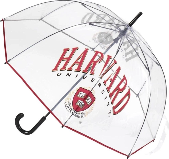 Gennemsigtig XL-paraply Harvard - 1 stk.