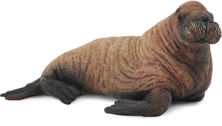 Plastfigur af en unge af en hvalros Collecta