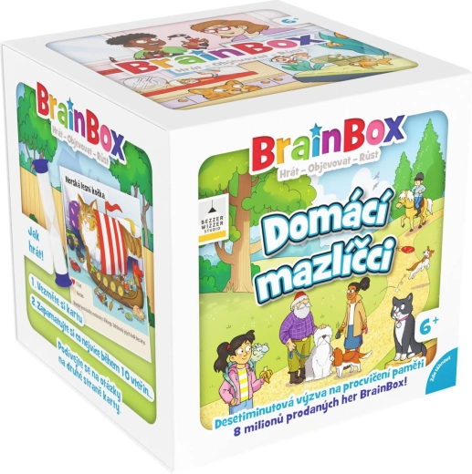 Asmodee BrainBox hjemmedyr