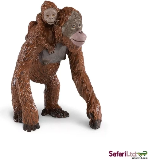 Orangutang med unge