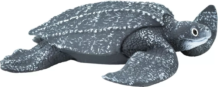Læderskildpadde Safari Ltd. - 1 stk.