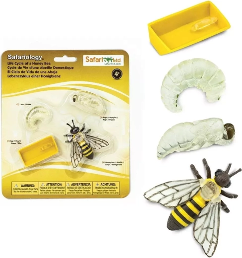 Safari Ltd. bienes livscyklus