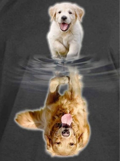 Diamantmaling – spejlrefleksion - hund 30 × 40 cm - 1 stk.
