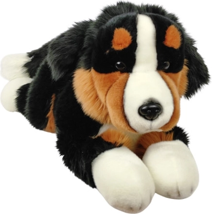 Dubi plys-hund Berner Sennenhund 42 cm